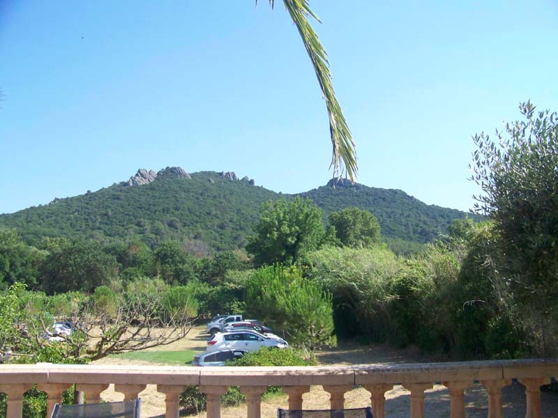 Mas de la Grillonne_83260 LA CRAU_10 Mas de la Grillonne_83260 LA CRAU_10